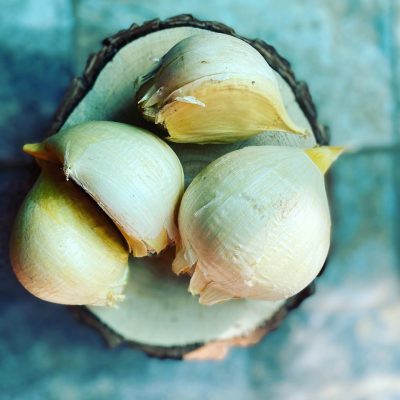 Ajo Chilote orgánicos - Imagen 2