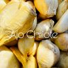 Ajo Chilote orgánicos